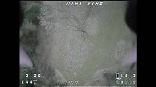 ImpulseRC Micro Alien 3 FPV - Maiden Flight
