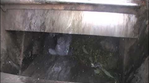 Single Pass Pendulum Packer