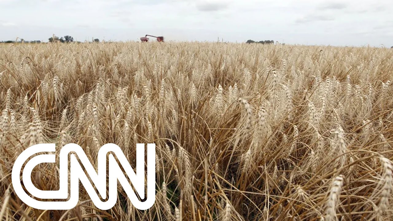 Setores da agropecuária entram em greve na Argentina | JORNAL DA CNN