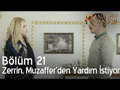 Zerrin, Muzaffer'den yardım istiyor  - Kanatsız Kuşlar 21. Bölüm