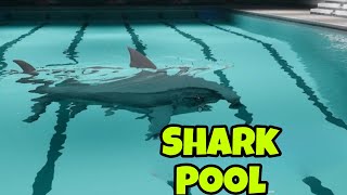 Hur Skyddar Man Sig Mot Hajattacker? By Swebulb