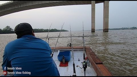 CÂU CÁ NGÁT KHỦNG  BẰNG MỒI CÂU CÁ NGÁT SIÊU NHẠY