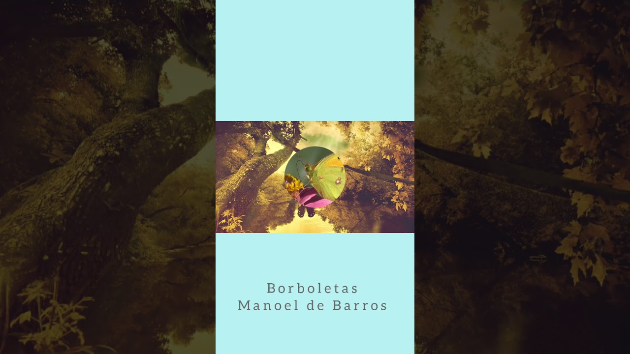 Poema Borboletas Manoel De Barros - ZULEDU