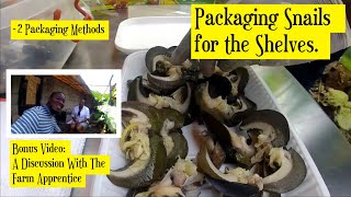 PACKAGING AFRICAN SNAILS FOR THE SUPERMARKET SHELVES (Valued Added Post-Processing)