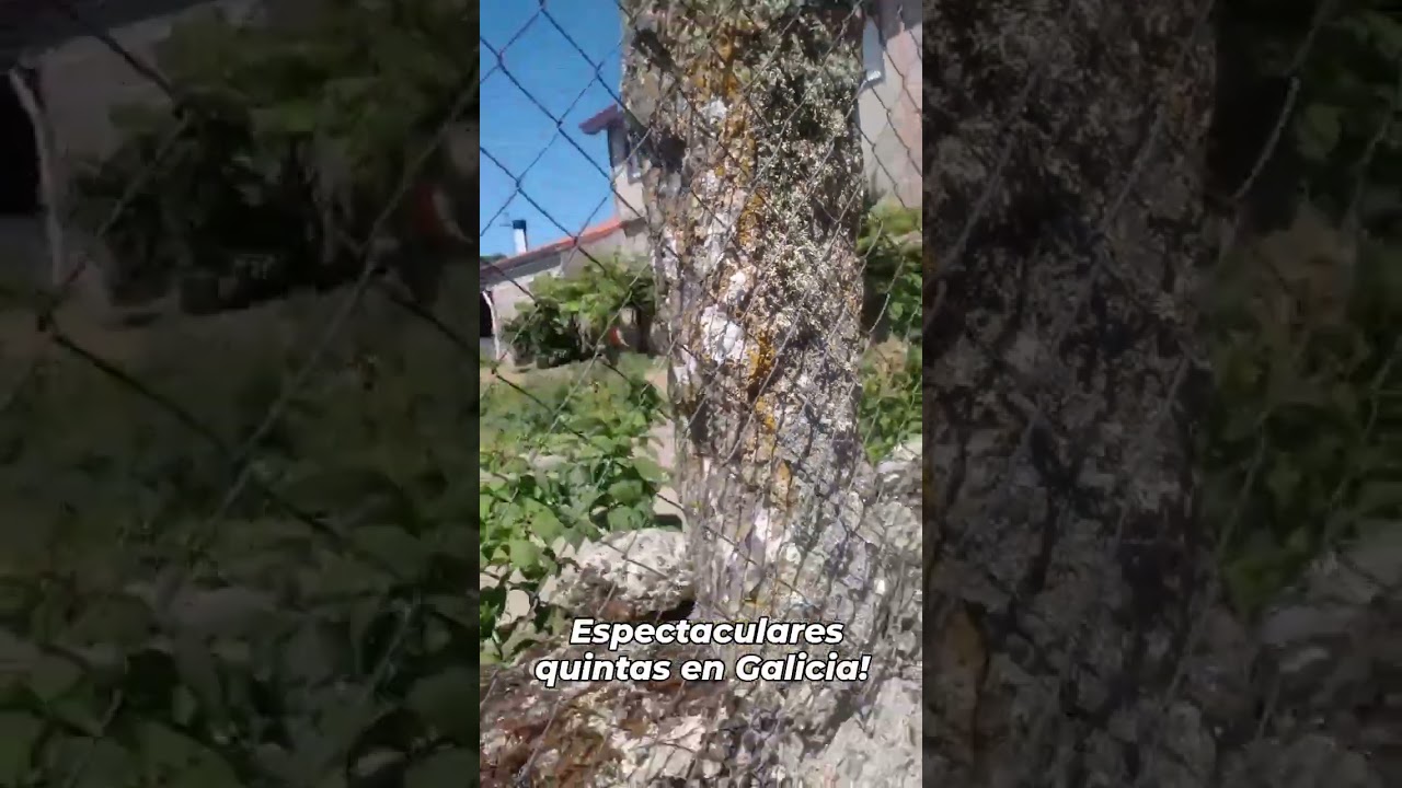 espectaculares quintas en Galicia