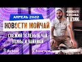 Новости Мойчай, апрель 2022. Свежий чай, новинки и завод в Таиланде.