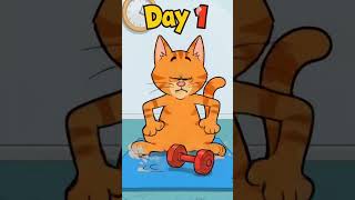Cat Training Day 1: Nope. #viral #cat #transformyourlifetoday #funny #successmind #successmind