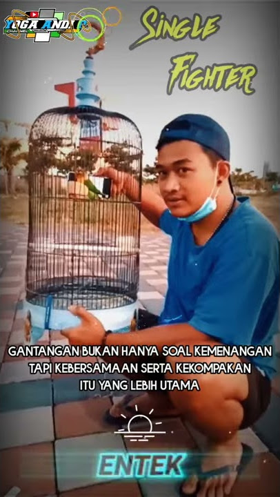 Story wa Los dol || @editorsimple_