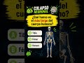 🦴 ¿Sabes cuál es el hueso más largo de tu cuerpo? 🤔 #preguntas #curiosidades #entretenimiento