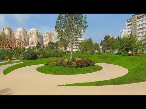 Video: Daşlaşmış Meşə Milli Parkı: Tam Bələdçi