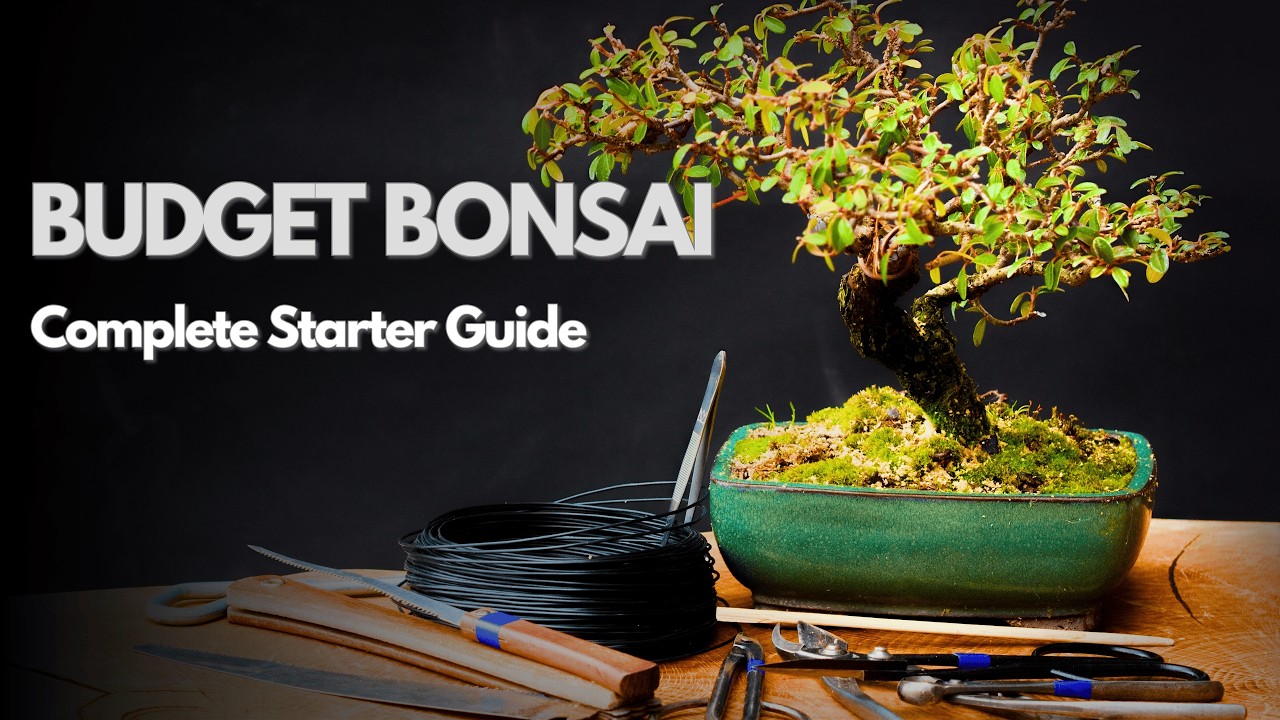 potting soil for indoor plants Smart Grower Organic Potting Soil for Indoor Plants