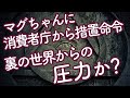 【陰謀か？】事実をねじ曲げるマスコミは酷い　洗たくマグちゃんに消費者庁が再発防止命令を出した件