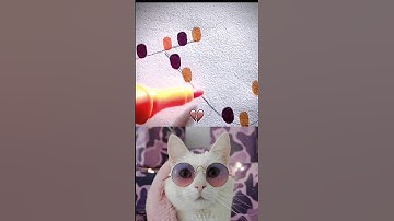 Give this video a title (wrong answers only ☠️)