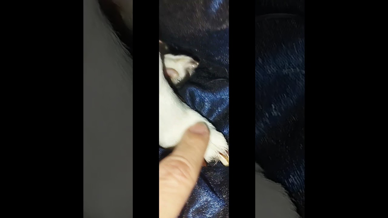 Quando basta guardarsi 💖 