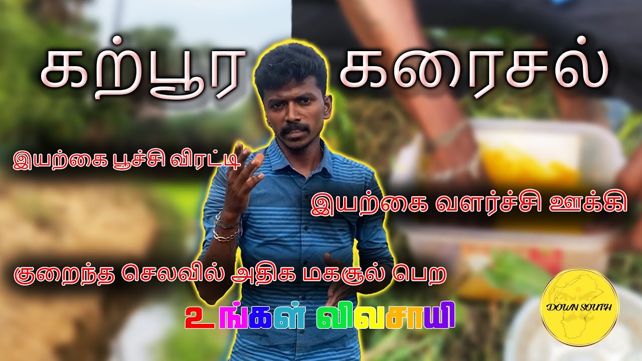 கற்பூர கரைசல் செய்முறை🌴 | உங்கள் விவசாயி | 