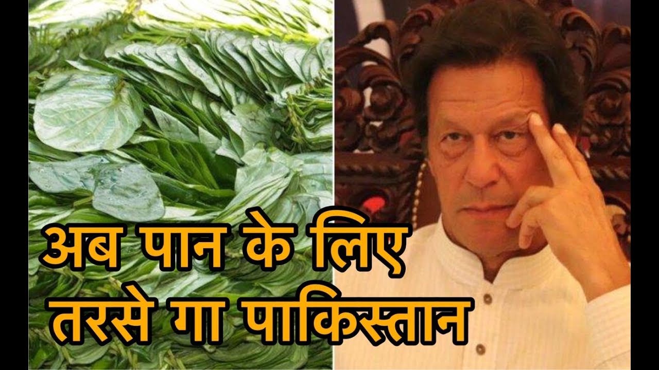 Indian Farmers Stop Pan supply to Pakistan | Top Open Facts