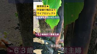 雑草除去★８３回目宇宙銀行積み立てマイプロジェクト #シニアライフ #雑草