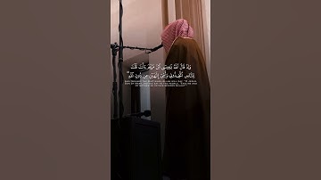 سورة المائدة | محمد ابا الحسن