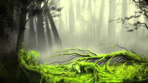 Insomnia 2.0 - Raincall