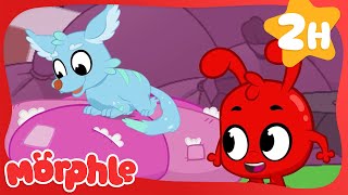 Telefox's New Bed 🦊 | Fun Animal Cartoons | @MorphleTV | Learning for Kids