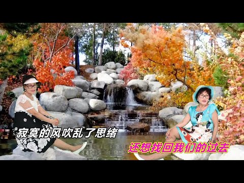 東方晴兒  等風等雨不如等你   DJ版  翻唱 曾慧真