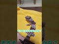 あんこ手袋多すぎ問題・前編