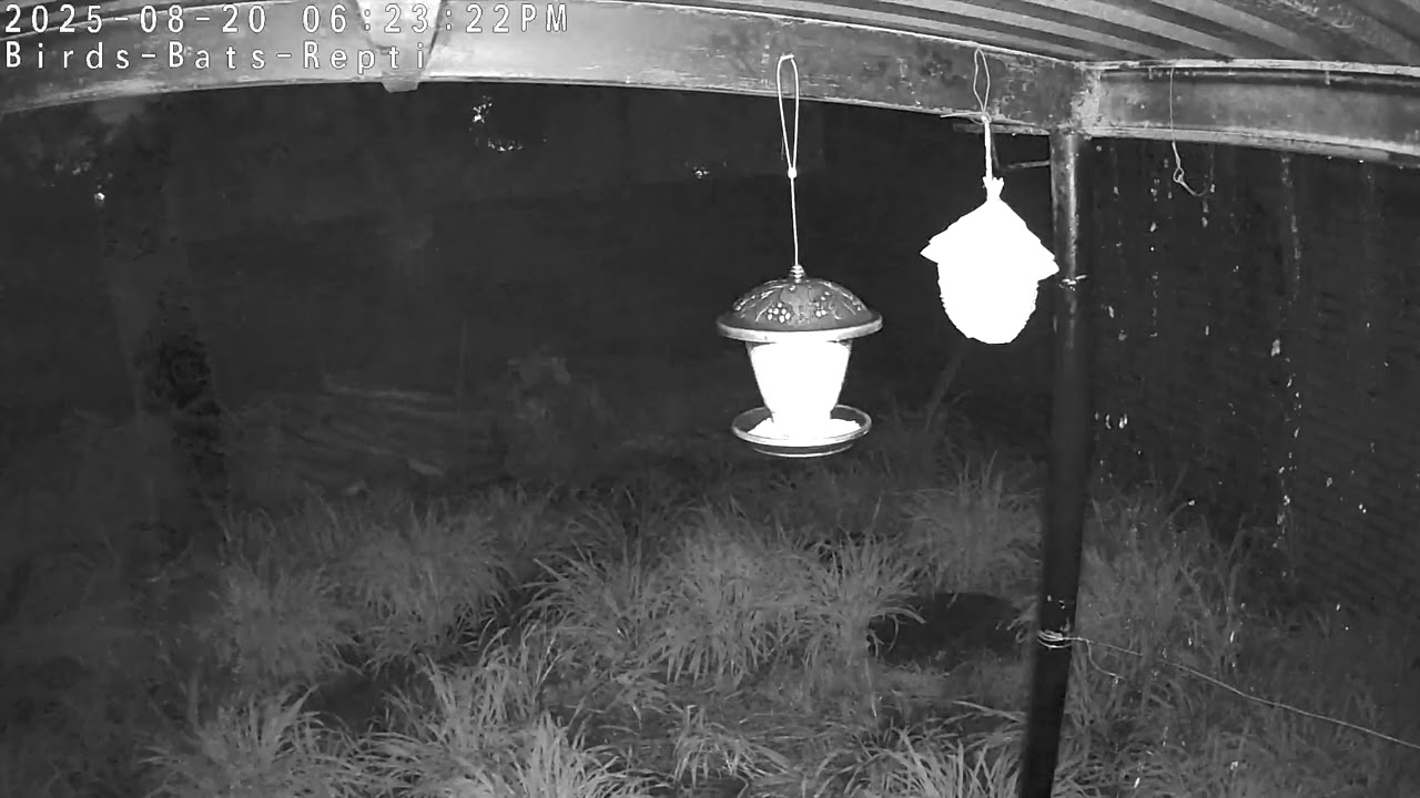 Real Electric Storm @ The Tropic