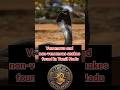 Venomous and non-venomous snakes found in Tamil Nadu /#snakes #Venomous #non-venomous