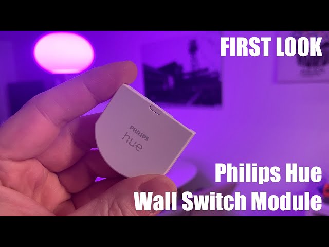 Interrupteur PHILIPS HUE wall switch module x2