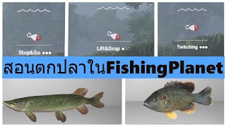 JC.-FishingPlanet สอนตกปลา 3 แบบ