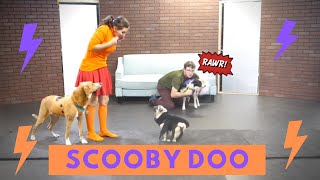 Stolen Scooby Snacks - Scooby Doo Where Are You? by Trevor Smith - Doggie Dojo 627 views 3 years ago 2 minutes, 11 seconds