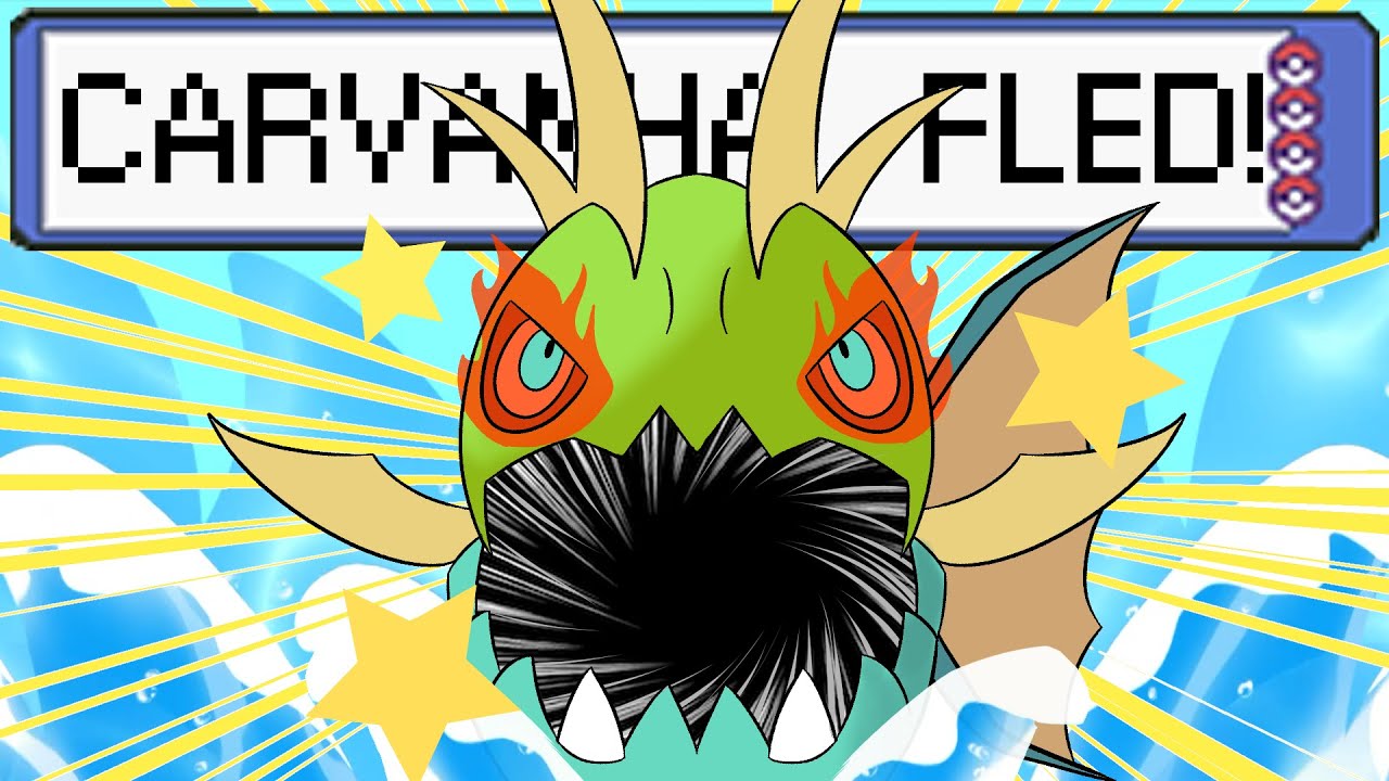 Safari Week 2024 Didn't Go As Planned...