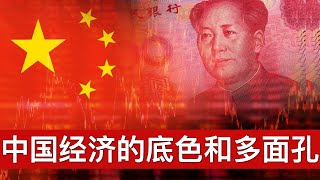 中国经济的底色和多面孔/下周前瞻(字幕)/Multiple Faces of China's Economy/王剑每日观察/20210109