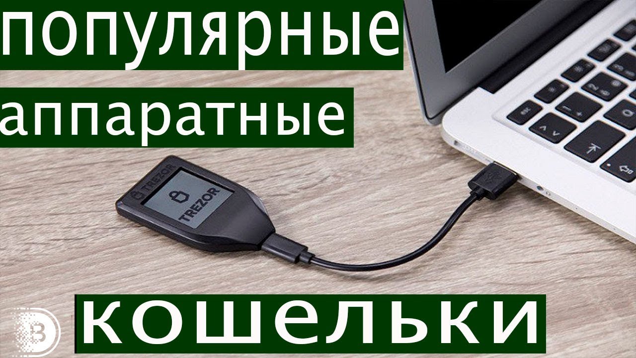 Генератор кошельков paypal