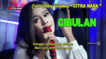 CIBULAN || IKA BONITA || COVER TARLING TENGDUNG CITRA NADA