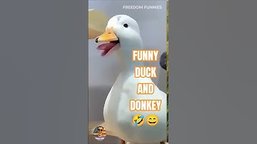 He who laughs last, last best donkey and duck funny moments #funny #funnyvideo #shorts #funnymoments