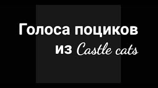 Голоса персонажей мужского пола, Castle Cats, чит.опис. Пж