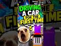 Driving a Car For the First time #100k #superbearadventurehighlights #superbearadventure