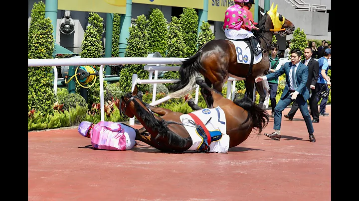 ￼￼隻馬發完￼老脾，到鄭俊偉馬場發火！怒掟馬簿￼🤣 - 天天要聞