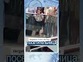 В зоопарке выдра разбила iPhone #shorts