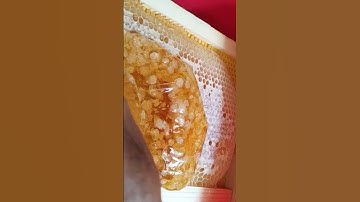HOW TO EXTRACT HONEY FROM FRAMES! WITHOUT AN EXTRACTOR!! USING DOLLAR TREE ITEMS! #howtoshort  #YUM