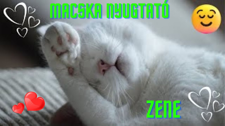 Macskák szeretik 💚 Macska altató zene 😸 Macska nyugtató zenék 😸 Macskazene 😸 Cica altató zenék 😸🙏💚