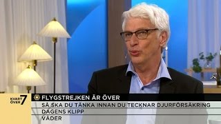 Experten: 'Ryanair vinnare på flygstrejken'  - Nyhetsmorgon (TV4)