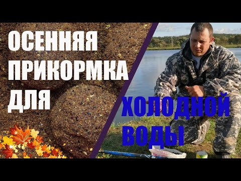 Прикормка для карпа осенью в холодной воде своими руками