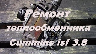 Пошло масло в антифриз Cummins isf 3.8 | Теплообменник двигателя камминз, cummins 3.8