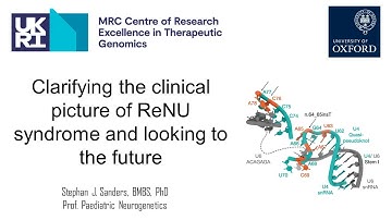 Professor Stephan Sanders - Clarifying the clinical picture of ReNU syndrome & looking to the future