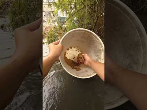Ao hoang 10 năm chinh phục cá chê to như choá #caođàitổng #fishing #caucathugian