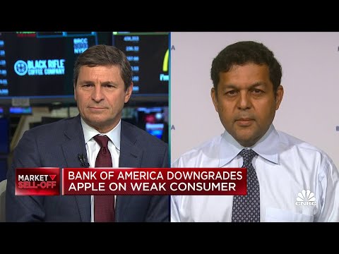 The demand profile of the Apple customer is changing which is worrisome, says BofA's Mohan – CNBC Television