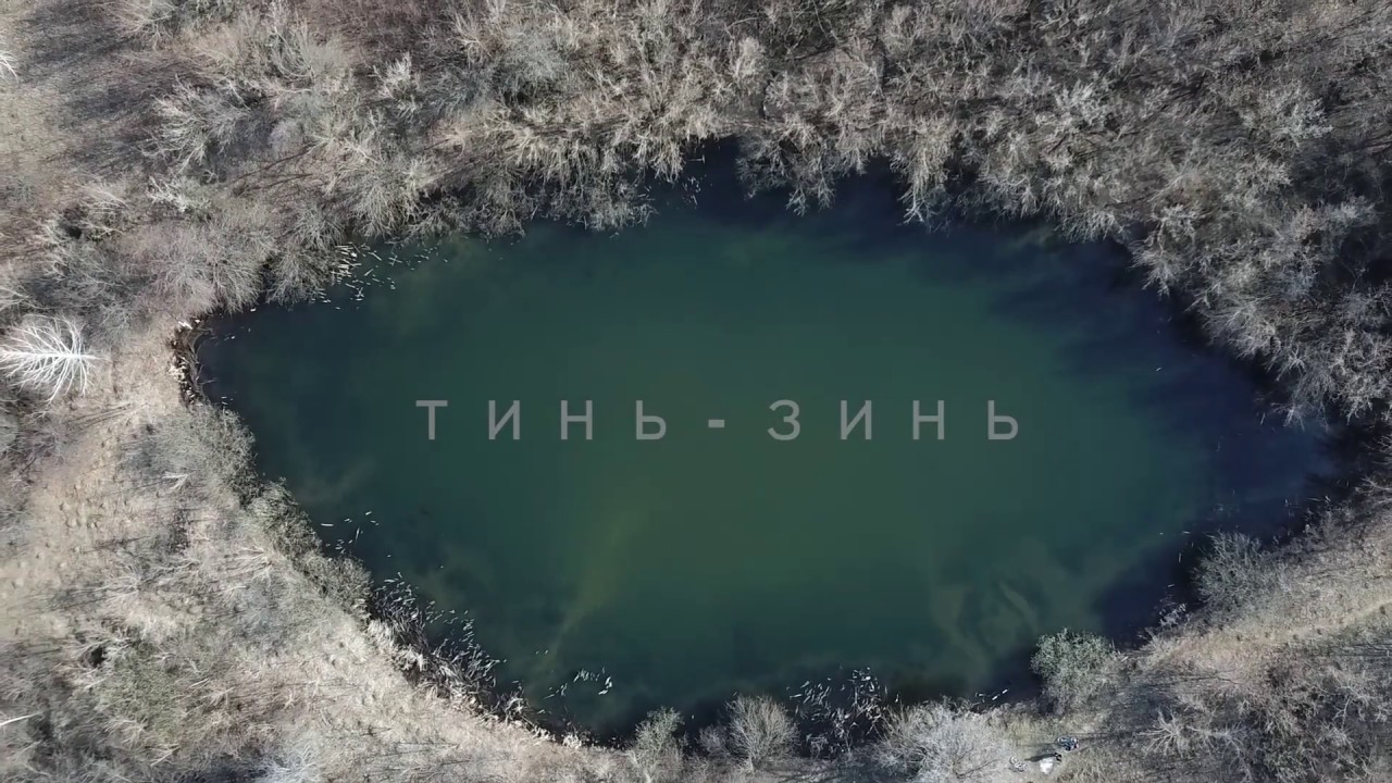 Лесопарк лесной энгельс карта