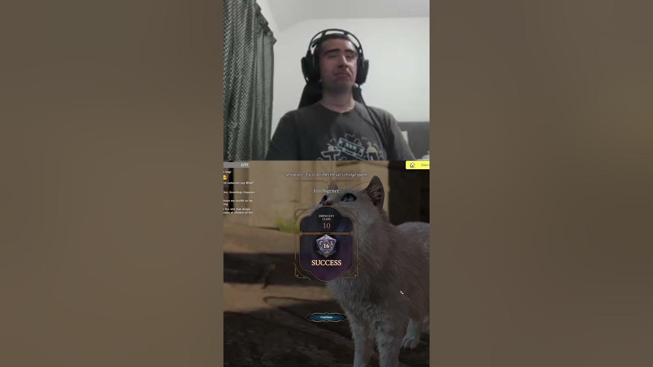 bg3-newbie-the-most-adorable-cat-in-baldur-s-gate-myshka-youtube